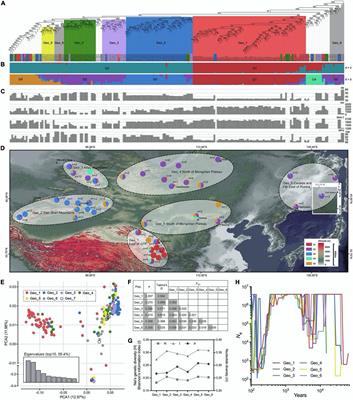 High-Altitude Genetic Selection and Genome-Wide Association Analysis of Yield-Related Traits in Elymus sibiricus L. Using SLAF Sequencing